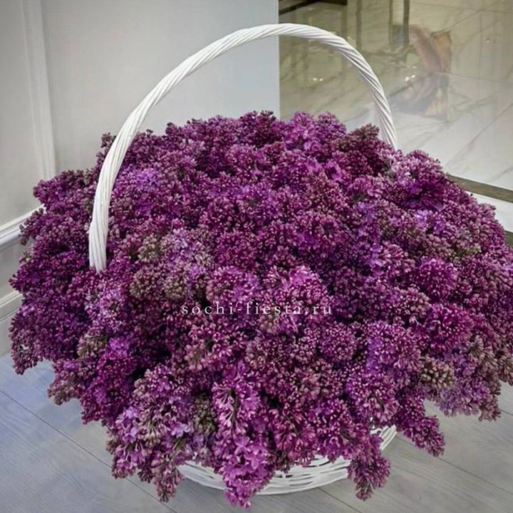 Корзина сирени в Омске