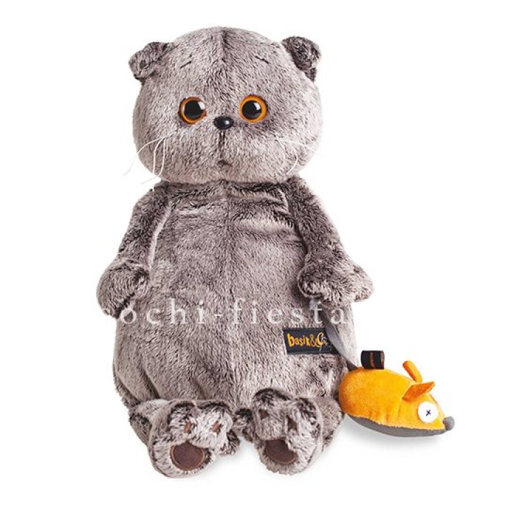 Кот Басик с мышкой в Омске