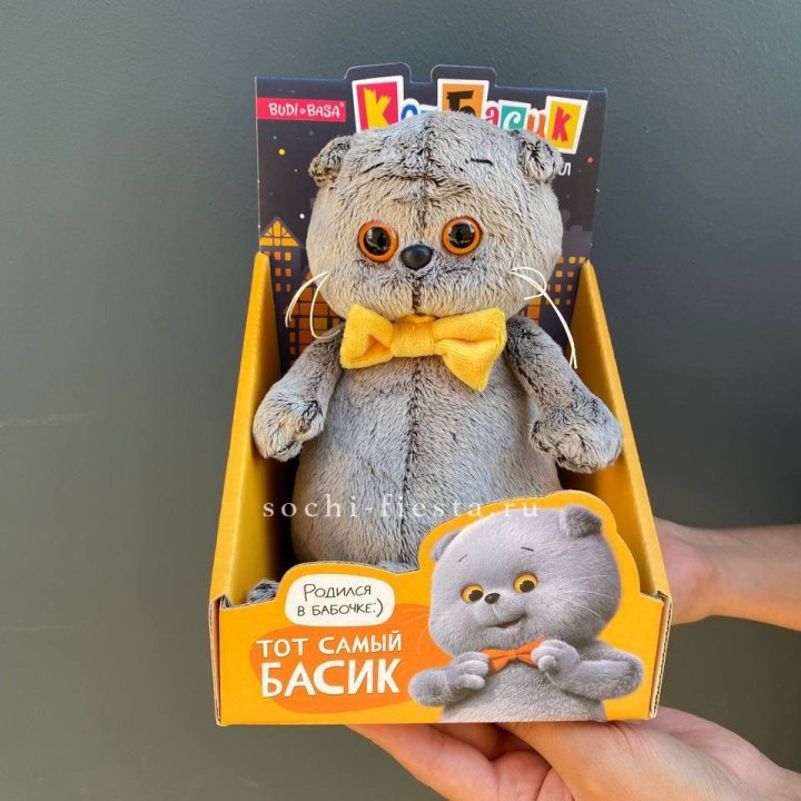 Кот Басик с бабочкой в Омске