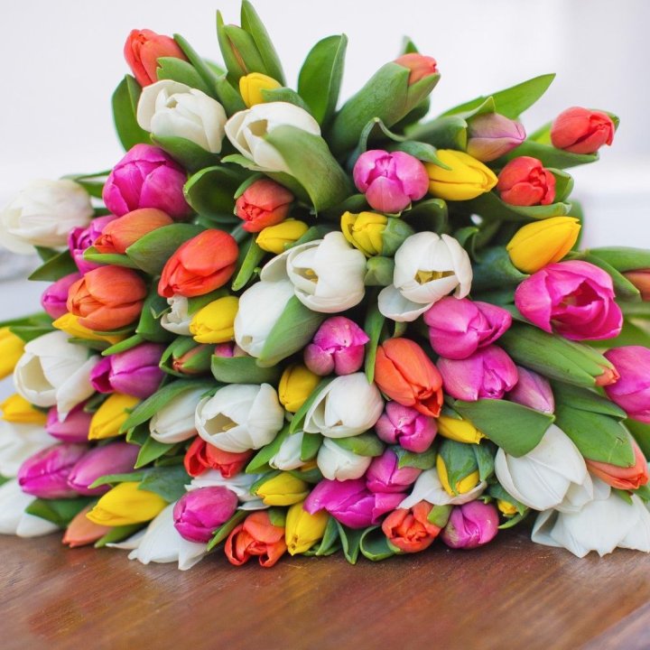79 тюльпанов "Рандом" в Омске