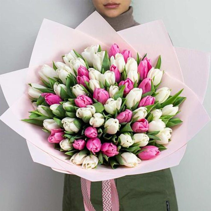 61 бело-розовый тюльпан в Омске