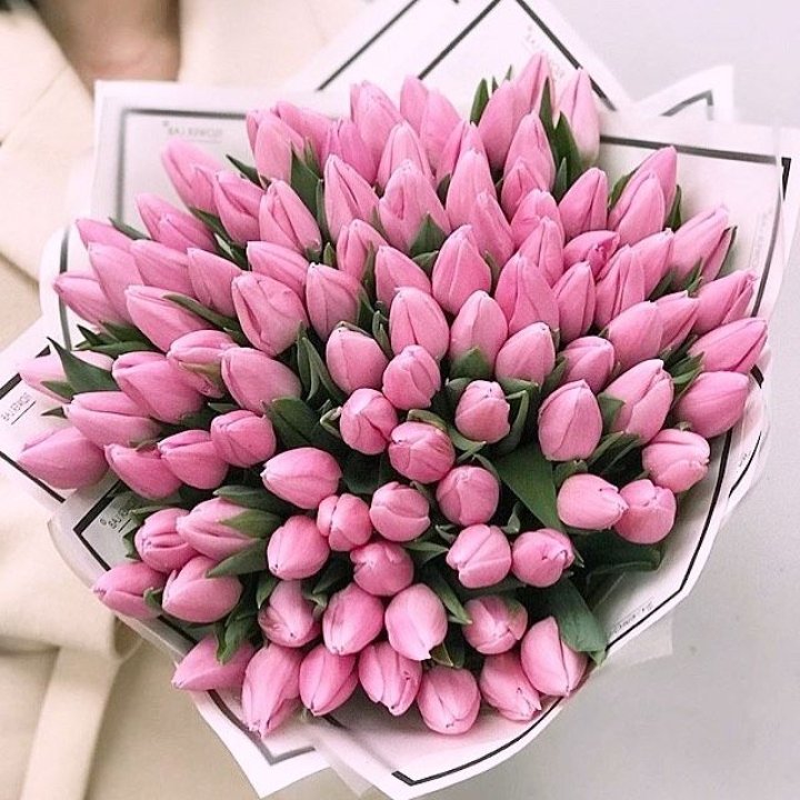 101 розовый тюльпан в белом в Омске