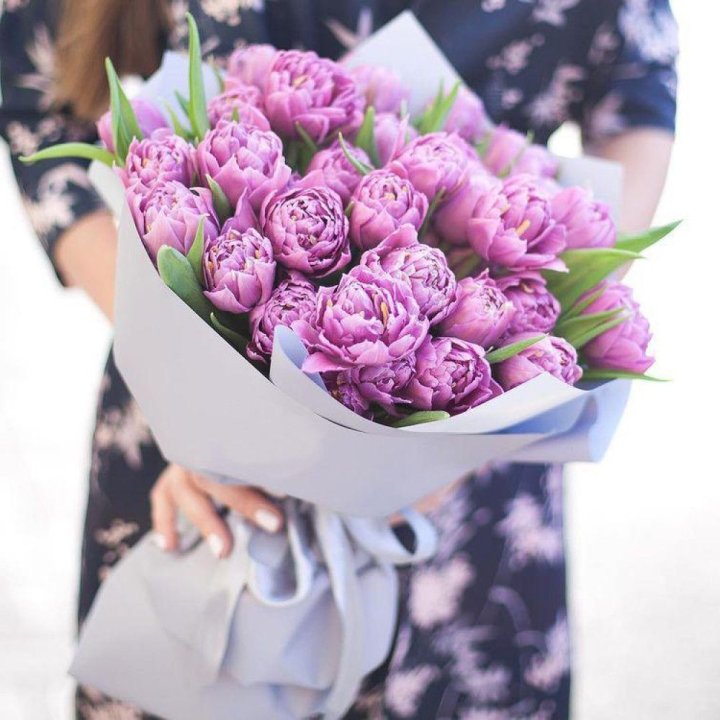 Тюльпаны "Пионс" в Омске