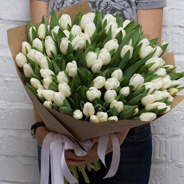 101 тюльпан сноу в Омске